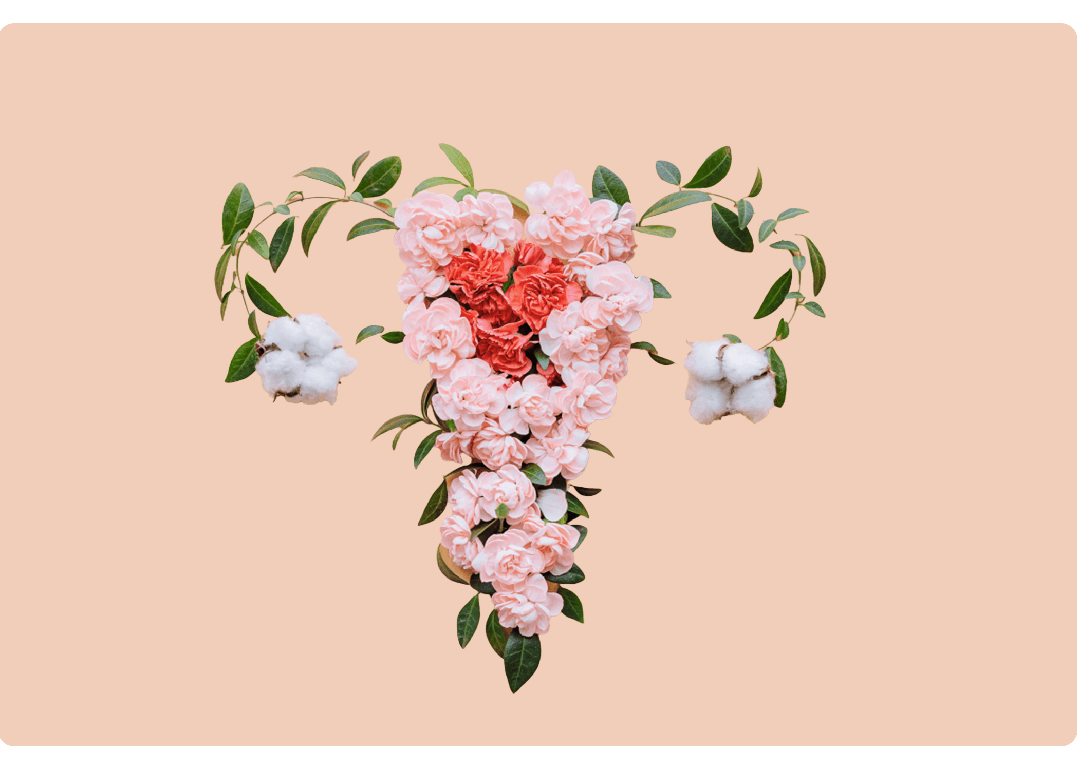 Sexual health counseling